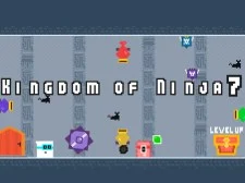 Kingdom of Ninja 7